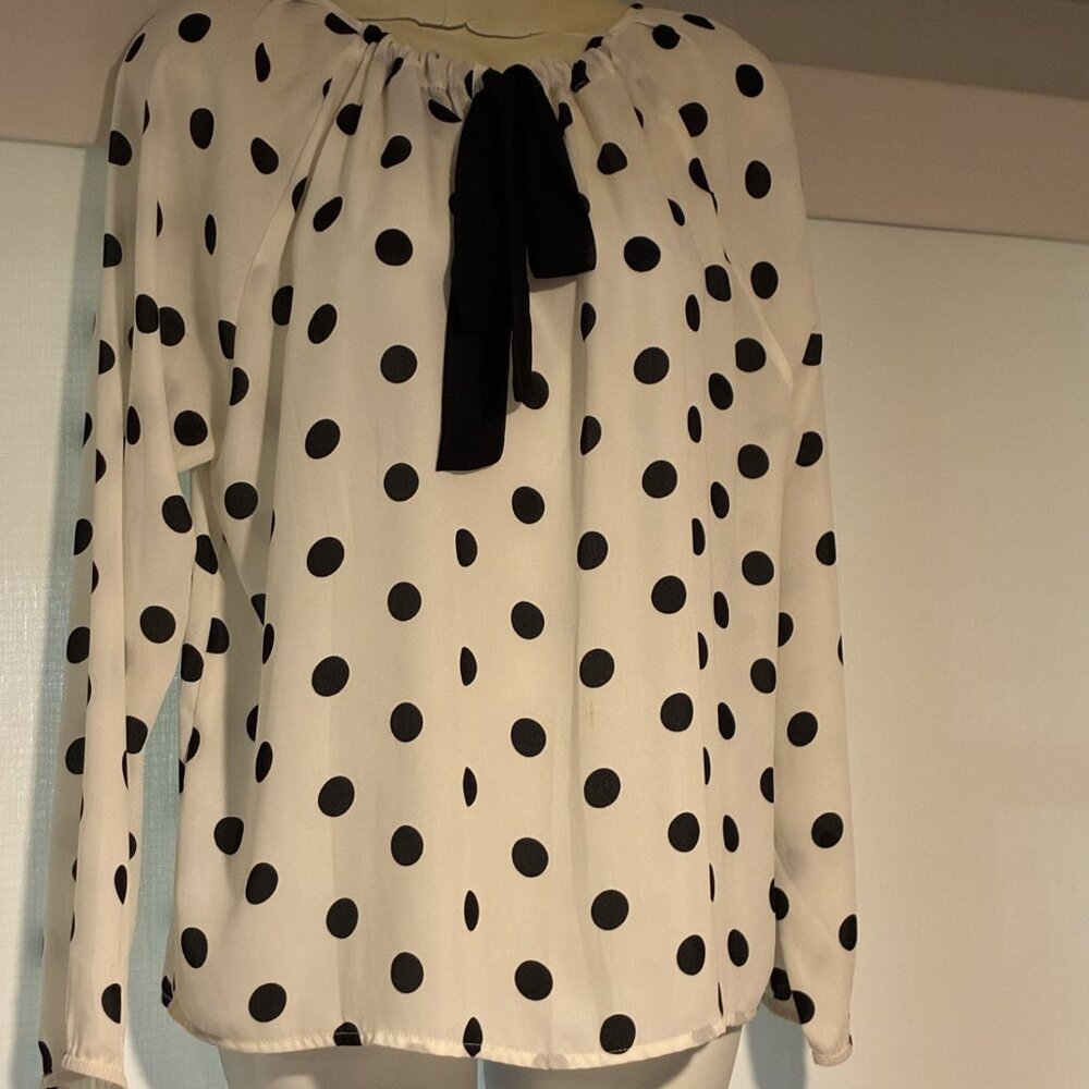 Banana Republic skirt ( size 0)  & white long sleeve polka dot blouse - preloved - Picture 7 of 9